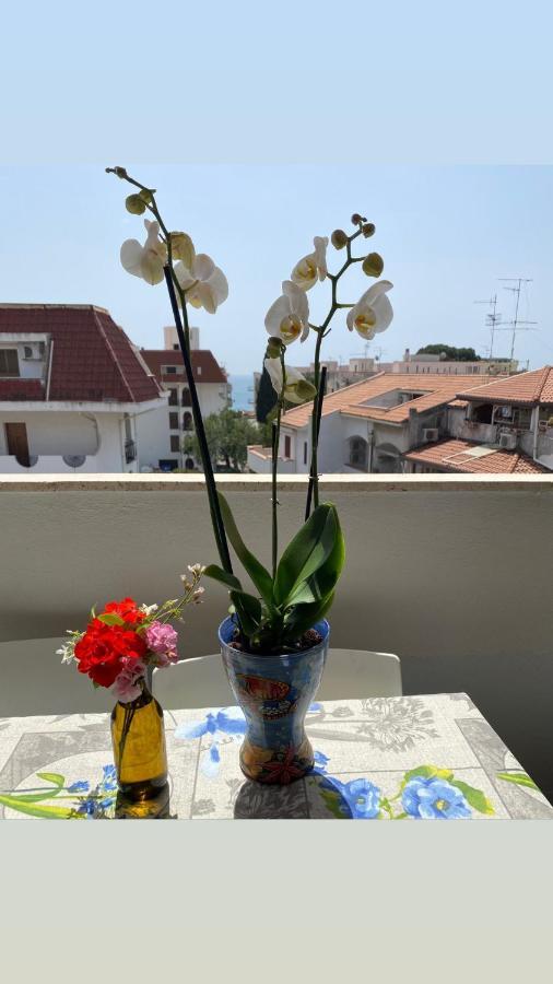 Sea View 2 Bedroom Vacation Apartment 贾迪尼-纳克索斯 外观 照片